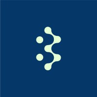 Blisnet logo - Similar company to Digiart Academy