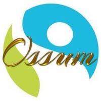 OSSUM TECHNOLOGY logo - Similar company to Bhashsms