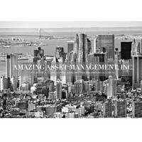 Amazing Asset Management, Inc. logo - Similar company to Amazing Genomics, Inc.