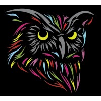 Niftorian logo - Similar company to Medipeer.Ai