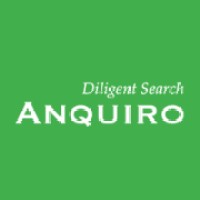 Anquiro logo - Similar company to Midland Retail