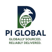 PI _ GLOBAL logo - Similar company to Tci Partners Lp