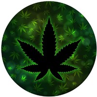 Dr.Greenthumb logo - Similar company to Dr. Greenthumb’S, Inc.