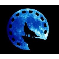 Blue Moon Productions logo - Similar company to Blue Moon Games