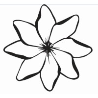 Wildflower Acupuncture