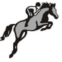 Nikad India Business Solutions logo - Similar company to Dev  Electricals