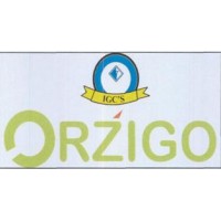 ORZIGO logo - Similar company to Riddhi Foundation