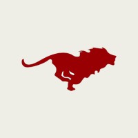 Lion Spirit Marketing logo - Similar company to Basica