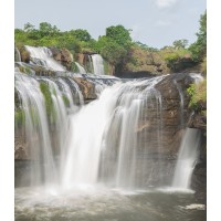 Tourisme et pêche en Guinée logo - Similar company to Ascogui