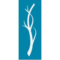 Shine Branch, LLC logo - Similar company to Alm - Advanced Laser Materials