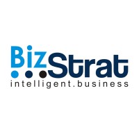 Bizstrat Intelligent Business logo - Similar company to Leadecisions