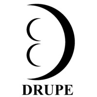 Drupe Engineering Private Limited logo - Similar company to Drupe