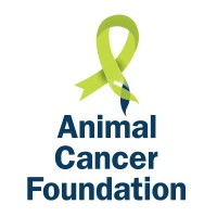 Animal Cancer Foundation