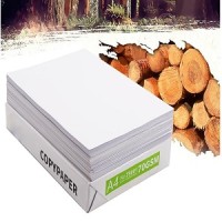 Linyi Haichi Paper Co.,Ltd logo - Similar company to The Tissue Mill Limited
