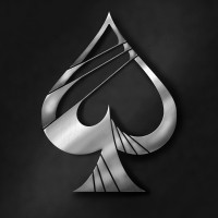 Ace Tech Solutions LLC logo - Similar company to Big4 Solutions Pvt Ltd