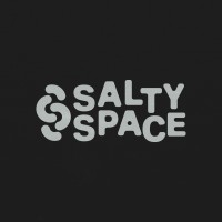 Salty Space logo - Similar company to Bigs Group