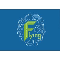 Shenzhen Flying Technology Co.,Ltd