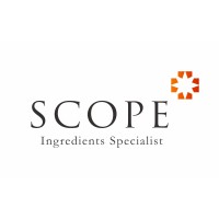 SCOPE INTERNATIONA logo - Similar company to Scope International