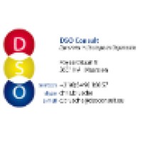 DSO Consult logo - Similar company to Food City, Wholesale Food Distribution Center