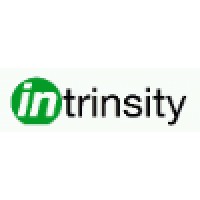 Intrinsity, Inc