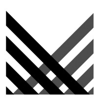Tonii Inc.