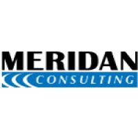 Meridan Consulting logo - Similar company to Electro Plaza Projects Pvt. Ltd.