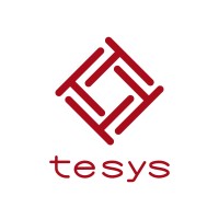 Tesys Activos Financieros logo - Similar company to Avantage Capital