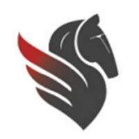 Strategies Migration Services South Africa logo - Similar company to Ibn Immigration Solutions
