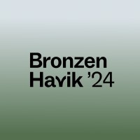 Bronzen Havik logo - Similar company to Adema Architecten