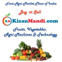 KISANMANDI ONLINE AGRI MARKET PVT LTD logo - Similar company to Bighaat Agro Pvt Ltd