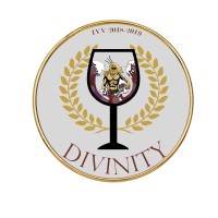 Divinity IVV IESEG logo - Similar company to Le Virage - Ieseg