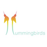 Hummingbirds.pk