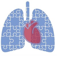 Best Care logo - Similar company to Bestcare, Inc.