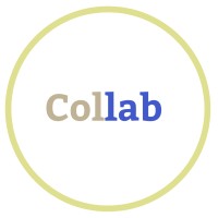 Collab Education logo - Similar company to Swiss Learning Academy