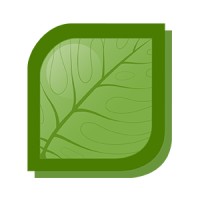 Oxygen Global LLC logo - Similar company to Oxygen Global Limited