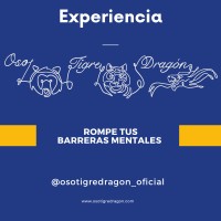 Oso, Tigre y Dragón logo - Similar company to Dkoach