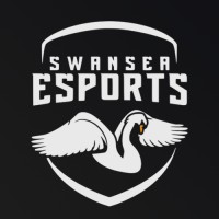 Swansea Esports