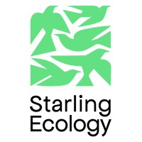Starling Ecology logo - Similar company to Wild Belfast