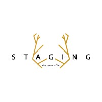 Staging Danışmanlık logo - Similar company to Partner Strategy