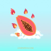 Love Papaya logo - Similar company to Fonoma