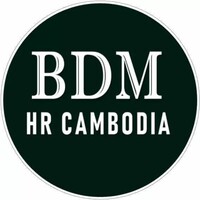 BDM HR CAMBODIA logo - Similar company to Leverage Llp (Japan)