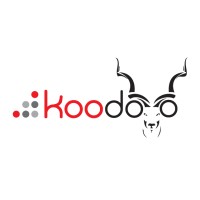 KOODOO logo - Similar company to Ps Tech Solutions