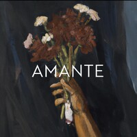 Amante Studio logo - Similar company to Bulletproof Soul