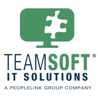 TeamSoft logo - Similar company to Teamsoft Technology And Systems.