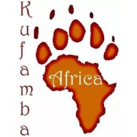 Kufamba Africa logo - Similar company to Kidaftari Erp