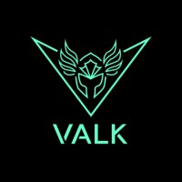 VALK GAMING logo - Similar company to Phoneix Technologies