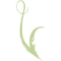 Veribatim - Web Design And Consultation