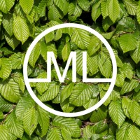 MLtech logo - Similar company to Italents - Software Development Recruitment Agency