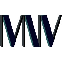 MNV Capital logo - Similar company to Bluestorm Capital