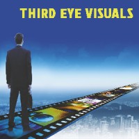 Third Eye Visuals logo - Similar company to Manno Trading